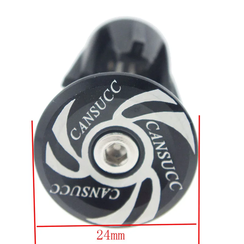 把塞CANSUCC (6)