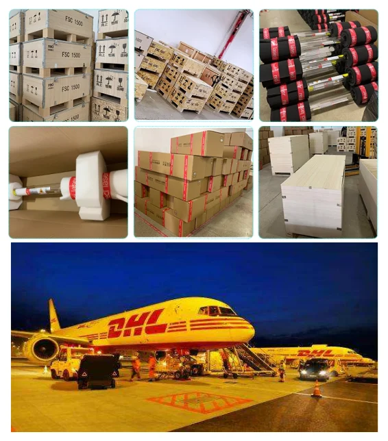包装运输DHL