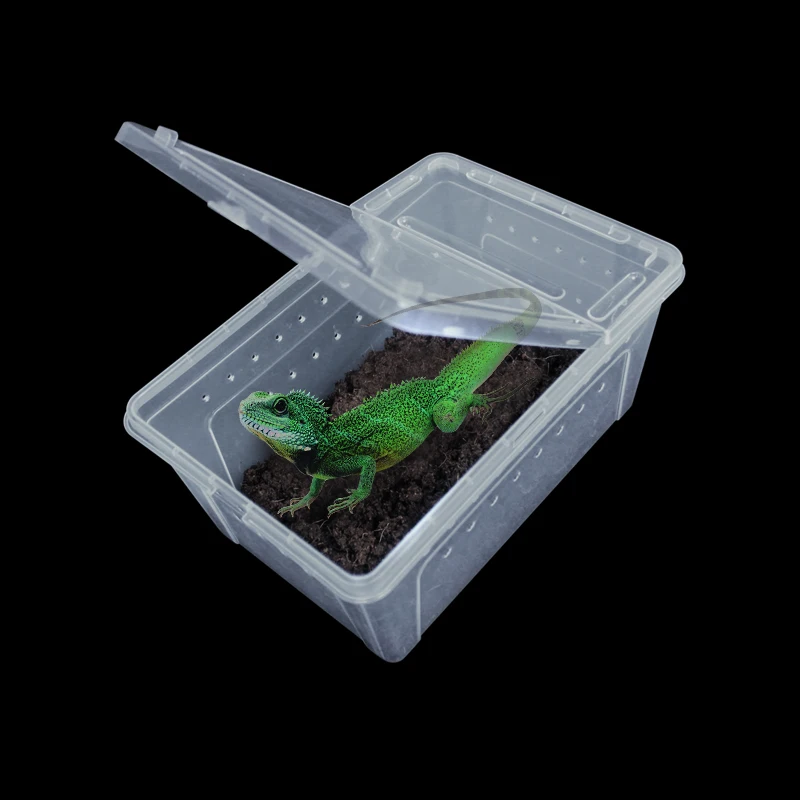 Transparent Plastic Box Insect Reptile Transport Breeding Live Food Feeding BoxRetailsale | Дом и сад