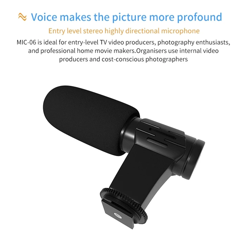 FELYBY MIC-06 Профессиональный DSLR конденсаторный интервью с микрофоном видео Запись микрофон записывающая видеокамера для производства фильмов микрофон