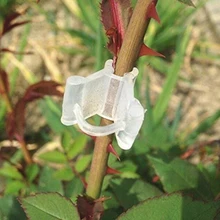 50PCS Home Plastic Grafting Clips Garden Flower Vine Bushes Plants Tool Supplies