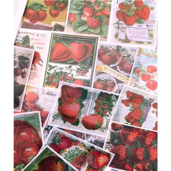 

60Pcs/Bag Strawberry Notice Sticker DIY Scrapbooking Album Junk Journal Happy Planner Decorative Stickers
