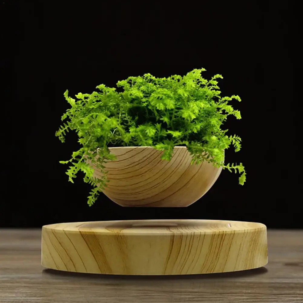Levitating Potted Plant Air Bonsai Pot Levitation Plants