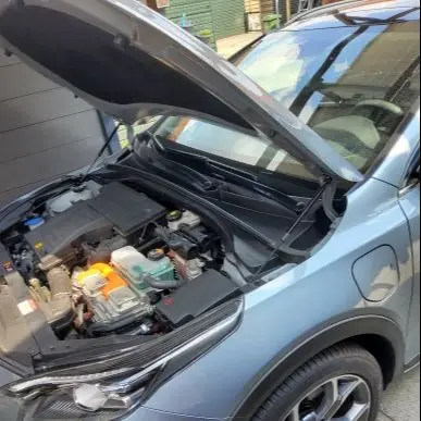 Front Bonnet Hood Gas Struts for Kia Ceed Cee'd XCeed III CD