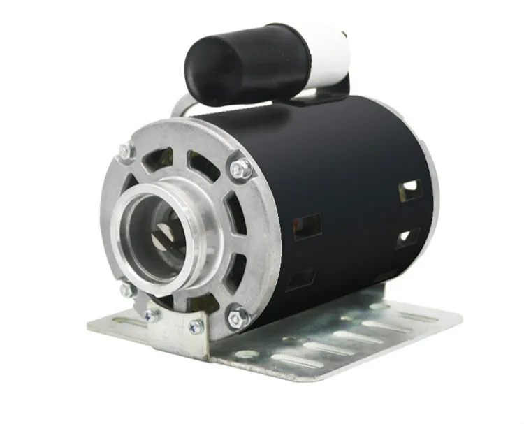 

Micro AC motor single capacitor start single phase asynchronous 300W commercial coffee machine water pump motor