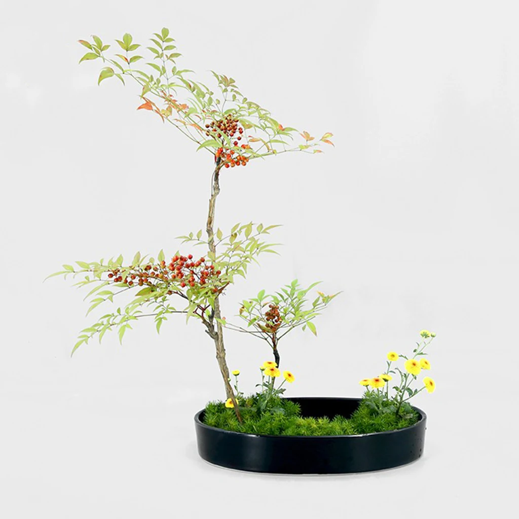 Large Japanese Ikebana Suiban Vase Flower Pot Bonsai Tray Flower Arrangment Holder for Home Office Tabletop Decor