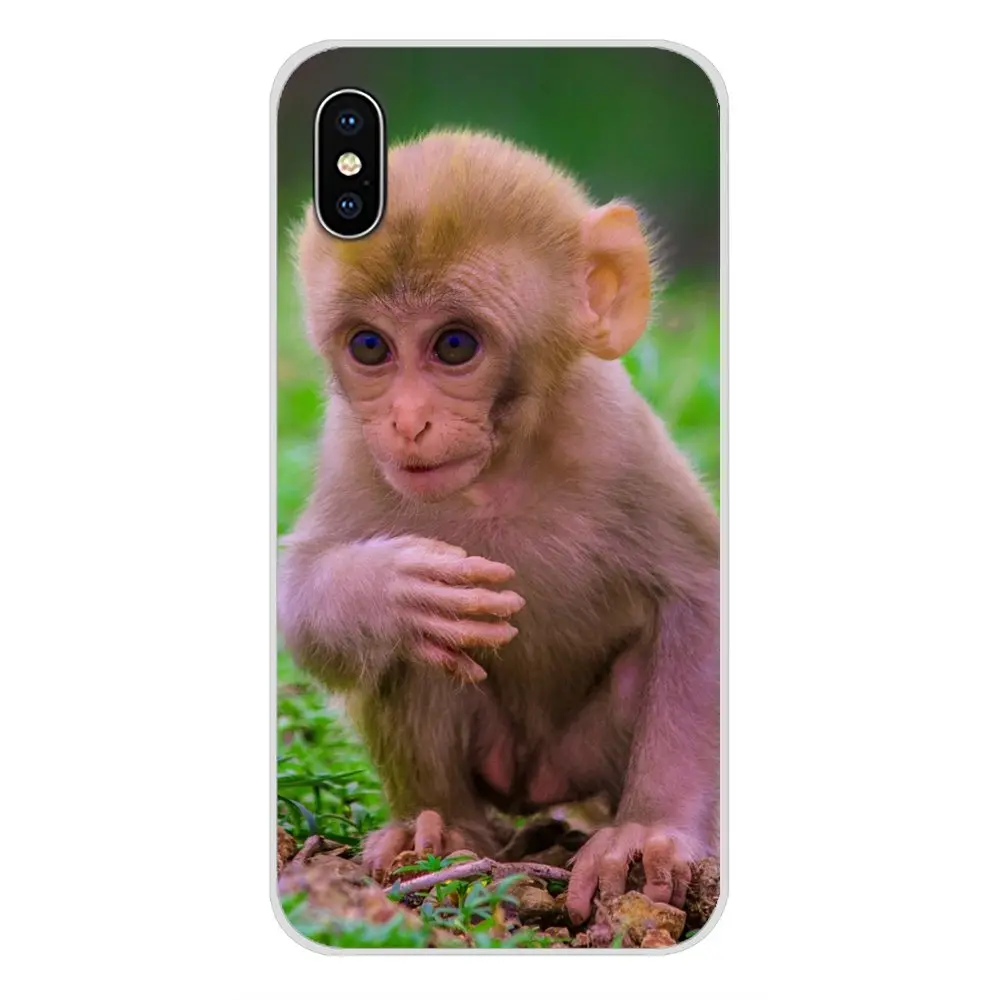 images 6 Для Apple IPhone X XR XS 11Pro MAX 4S 5s 5C SE 6S 7 8 Plus ipod touch 5 6 Аксессуары чехлы для телефонов Обезьяна горилла Ape Baby - Цвет: images 6