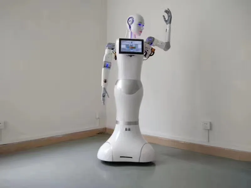cheap smart robots