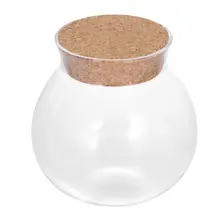 Новое поступление милый дизайн чай кофе сахар Стеклянные Канистры цветочное растение ваза горшок для оформления дома вечерние прозрачные красота