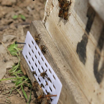 

Beekeeping Fence Tool Anti Escape Bees Barrier Spacer Frame Hive Nest Door Vented Agriculture Tool Bees Queen Spacer Frame