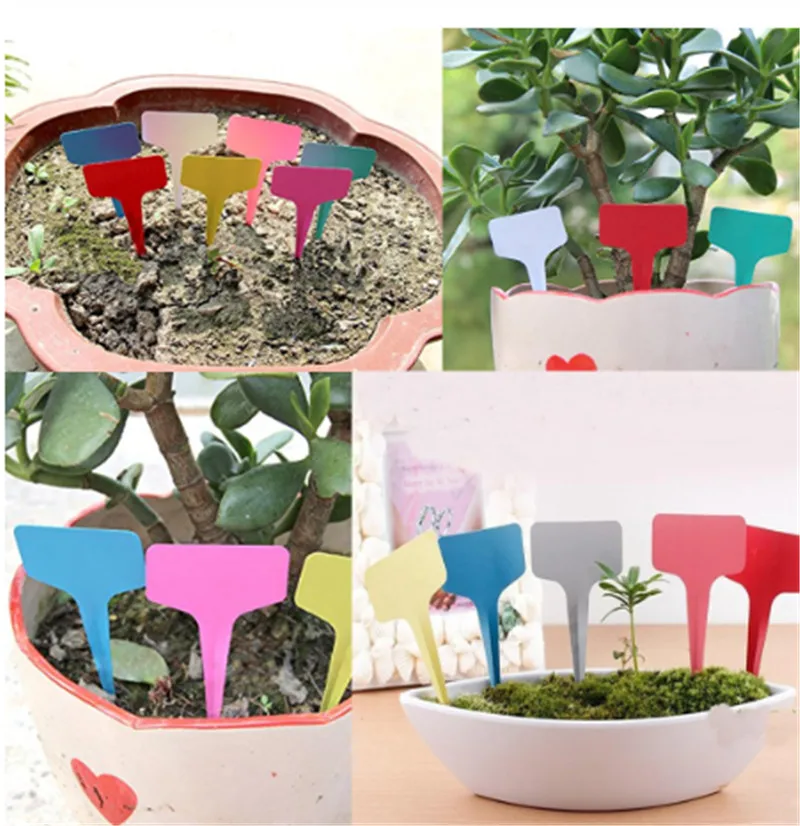 20pcs Gardening Plant T shape Waterproof Tags Flower Vegetable Planting Label Tools farm garden Seedling tray mark garden tools