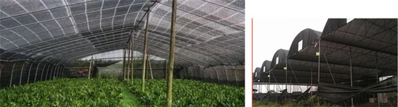 Snipaste_2020-06-19_19-24-02