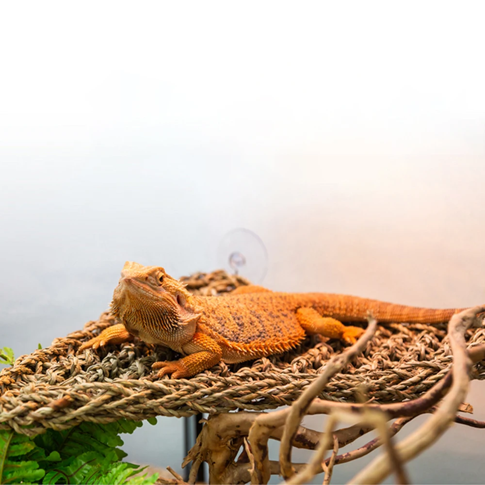 40X17 см Террариум для рептилий для ящерицы шезлонг-гамак маленький крабы-отельники гекконы кровать коврики для животных рептилий коврик Декор
