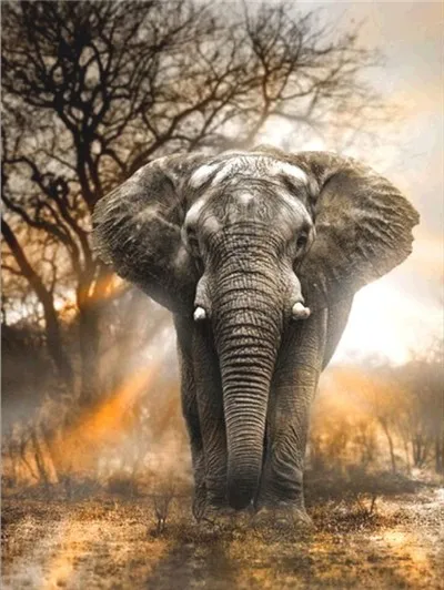 

DIY Diamond Painting Animal Elephant Full Diamond Embroidery Animal Elephant Home Decoration wedding decoration