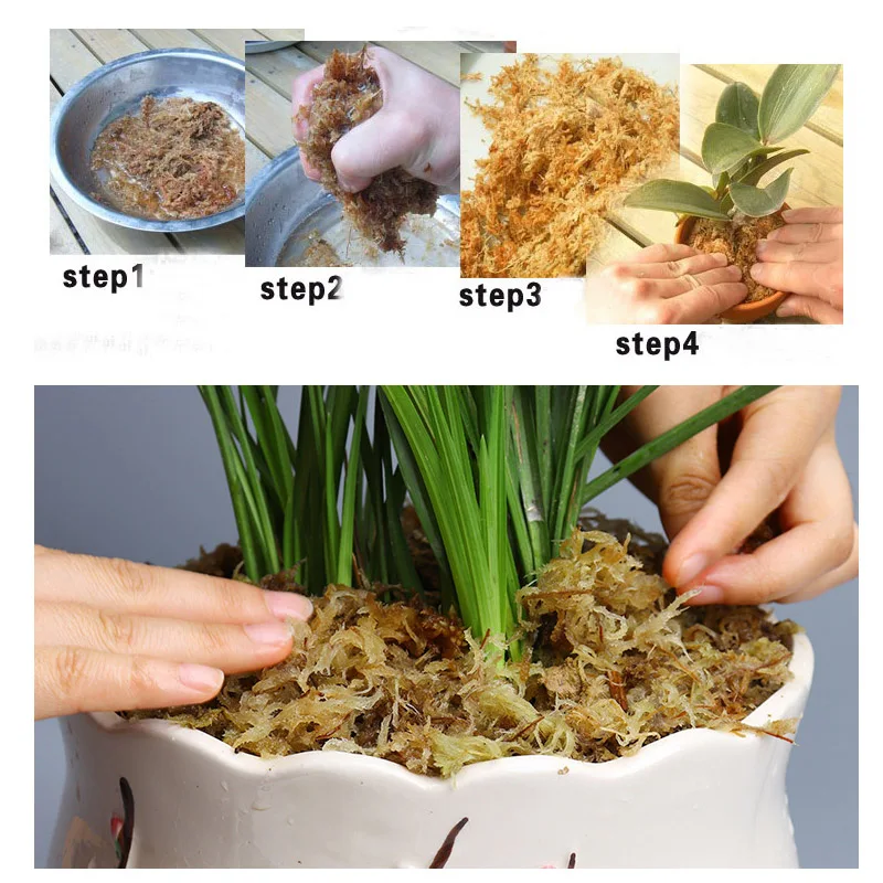 6L Phalaenopsis Sphagnum Moss Garden Supplies Moisturizing Nutrition Organic Fertilizer For Phalaenopsis Orchid Musgo Sphagnum