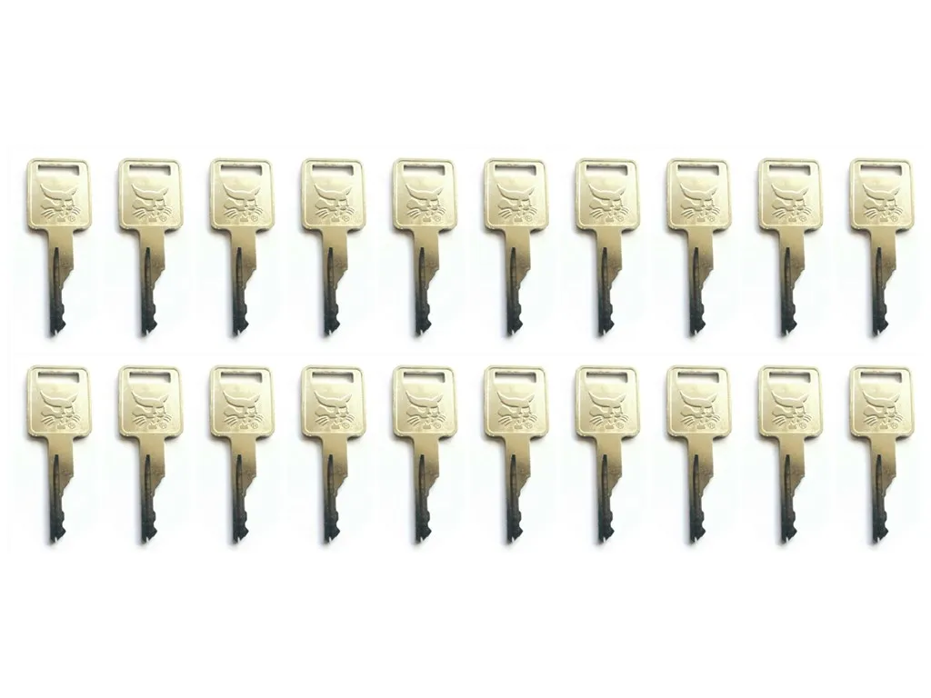 20Pcs Ignition Key For Bobcat Skid Steer Loaders and Mini Excavators 6693241 D250 Free Shipping