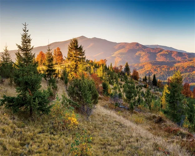 HD-Mountain-Forest-Picture-Wall-Art-Landscape-Canvas-Painting-Nature-Scenery-Poster-and-Prints-Nordic-Decoration (2)