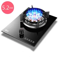 Gas Stove Desktop Embedded 3D Combustion Technology Flameout Protection  Nine Hole Flame Household Cooking Single Stove 1