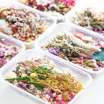 

1 Box Real Dried Flower Dry Plants For Aromatherapy Candle Epoxy Resin Pendant Necklace Jewelry Making Craft DIY Accessories