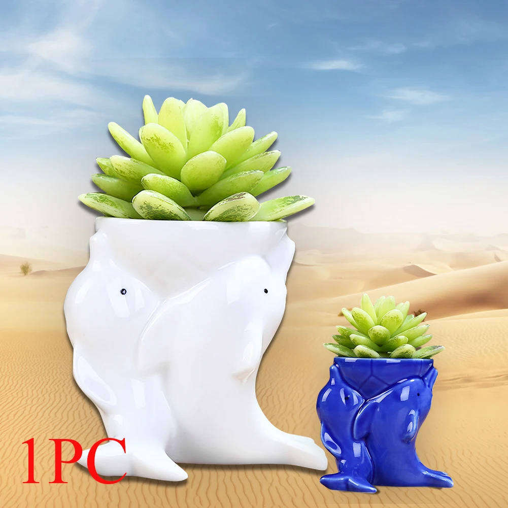 Office Container Desktop Dolphin Garden Decor Home Ceramic Flower Pot Crafts Plants Succulents Planter Cartoon Bonsai Small