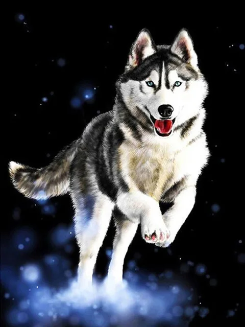 Square/Round Diamond Rhinestone 5D Diy Diamond Painting Animal Stone Embroidery Cute Husky Dog Cross Stitch Pattern Mosaic Gift 8Rp577-3