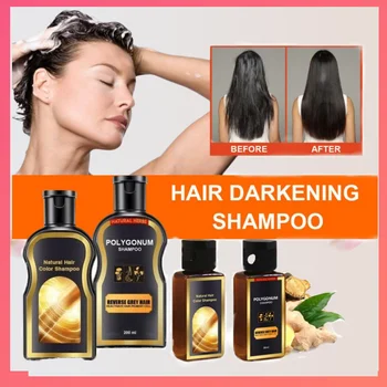 

30ml Grey Reverse Hair Color Shampoo Polygonum Multiflorum Anti-dandruff/black Hair Care/Natural Repair Shampoo Hair Care TSLM1