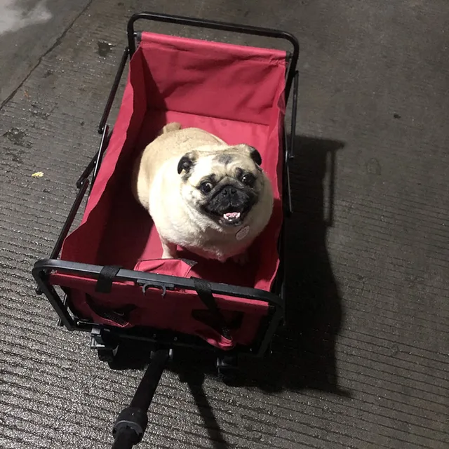 Kültéri Kemping Összecsukható Szállítási Kocsi Hordozható Többfunkciós Nagy Kapacitású Bevásárló Otthoni Kerti Hódok - Image 5