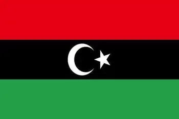 

Libya 50 Dinars 2008 P-75 UNC Original Note