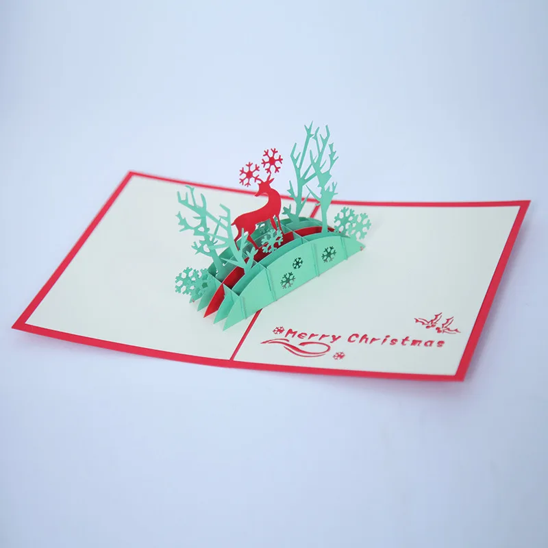 3577500813_281475579