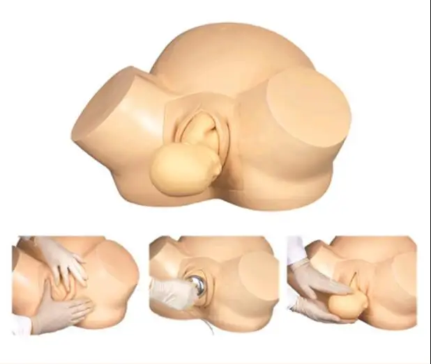 Advanced midwifery training model F8 delivery model/fertility Female delivery birth simulation human body