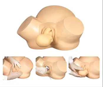 Advanced Midwifery Delivery Model 1