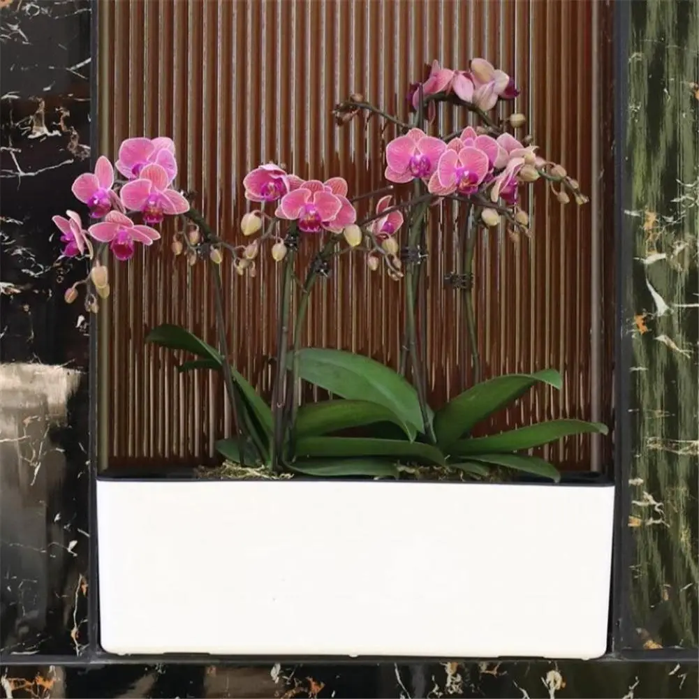 High Quality Automatic Water Absorption Flowerpot Succulent Plant Desktop Potted Green Plant Water Absorption Flowerpot