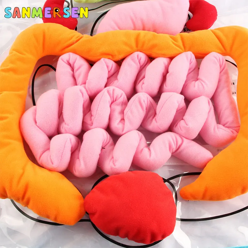  Educational Insights Toys For Children Anatomy Apron Human Body Organs Awareness Preschool Science  - 4000473171178