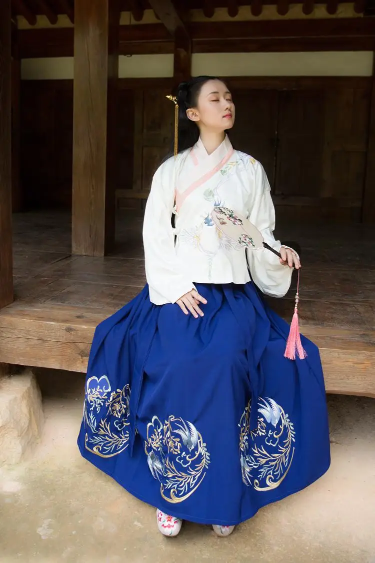 Hanfu Mulheres женский костюм сливы Hanfu платье феи юбка свежий и элегантный Huaqing павильон Hanfu Одежда китайский стиль 2 шт - Цвет: Blue Chinese Sets