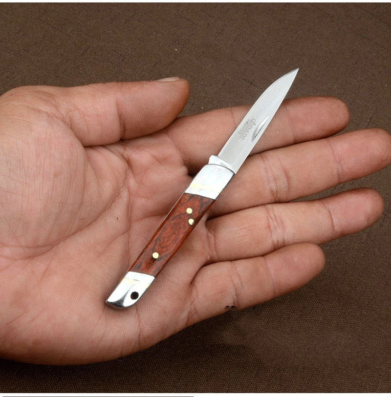 Карманный нож из нержавеющей стали, складные фруктовые ножи с деревянной ручкой, портативный столовый нож для путешествий, складные столовые приборы, инструмент для пикника на открытом воздухе
