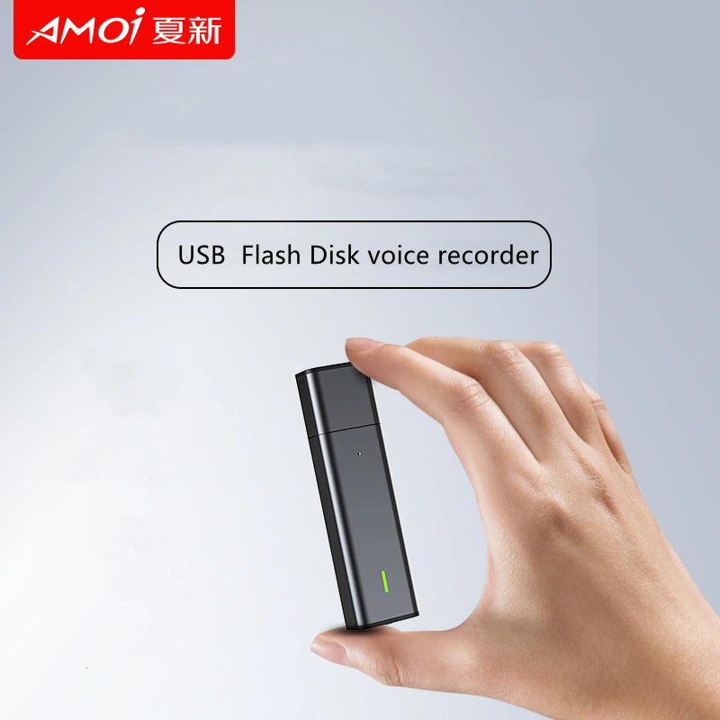 Usb Disk Flash Drive Digital Voice Recorder Mini File Encryption Voice
