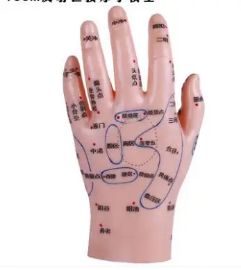 Ушная модель для точечного массажа с высокой четкостью без семян аппликации