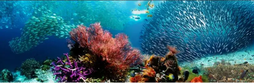 QQ截图20200902204109