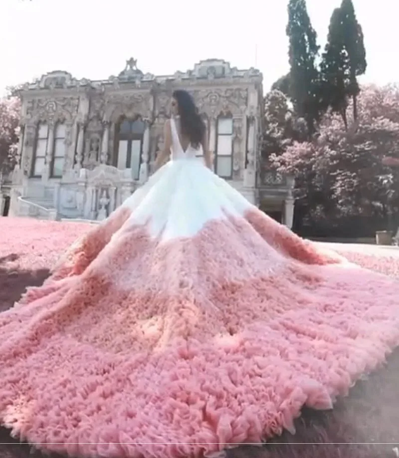 BacklakeGirls Newest Pink Tulle A Line V Neck Wedding Dresses Tiered Cathedral Train Backless Bridal Dress