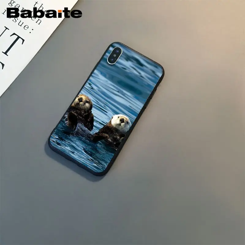 lovely cute Otter water animal