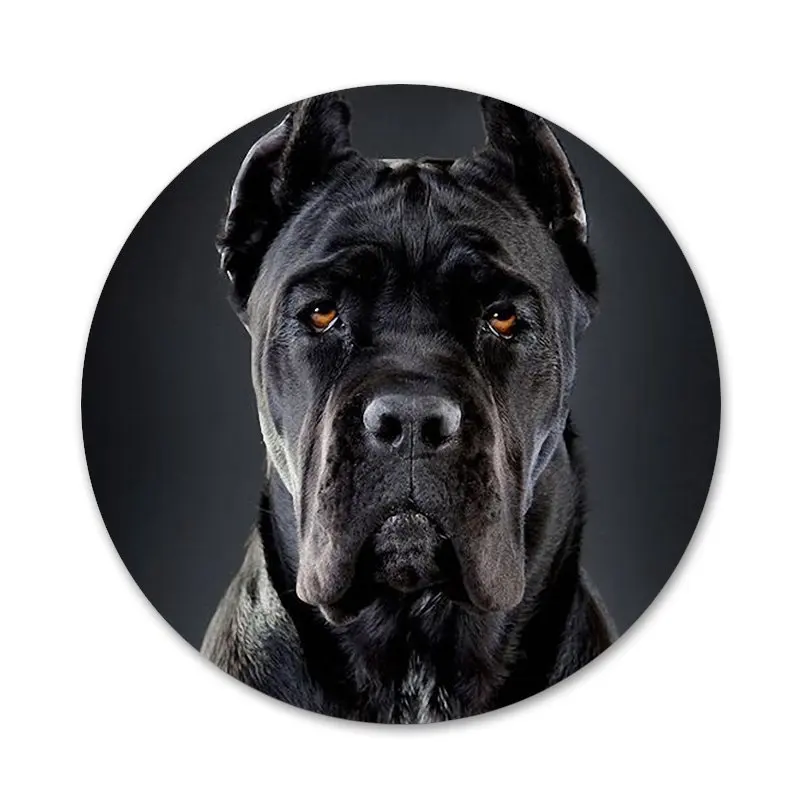 Italian dogs Cane Corso Refrigerator Magnet Bottle Opener Beer