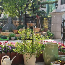 Цветочная стойка цилиндрическая Цветочная стойка Железный цветочный кронштейн подъемная беседка из ротанга месяц клематис в форме лотоса стойка для цветов на открытом воздухе