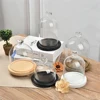 Glass Dome Bell Jar Cloche Display Jar With Wooden Base Dust Cover Home Decor Bedroom Desk Ornaments For Home Christmas Party 3