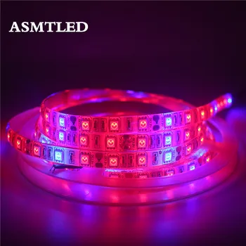 

LED Grow Light Full Spectrum LED Strip Lights 0.5m 1m 2m 3m 5m 5050 Chip LED Phyto Lamps For Greenhouse Hydroponic Plant Growing