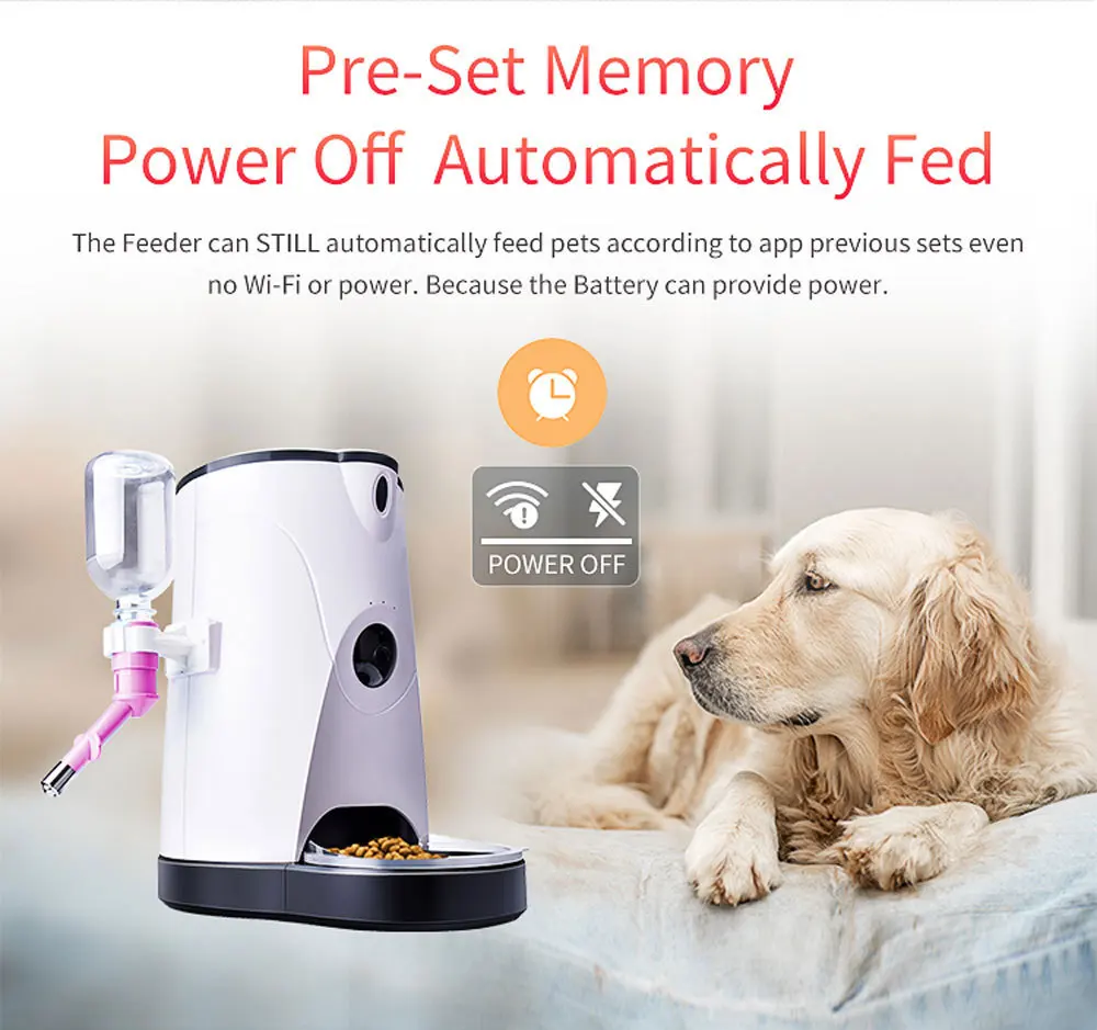 home camera for pets