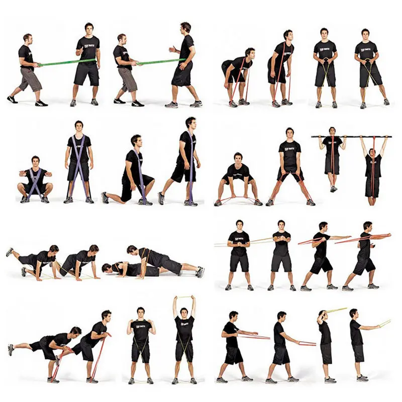 8815998508_1610114528