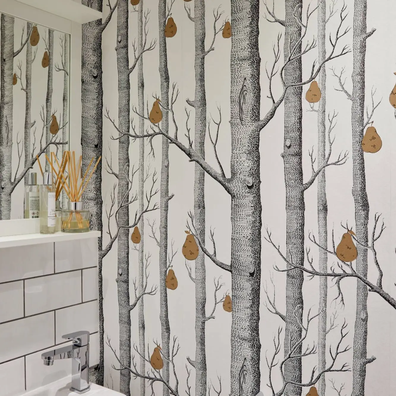 Birch Tree Wallpaper Bathroom