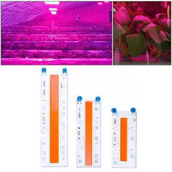 

COB Chip Durable Led Plant Growth Lightweight Hydroponics Garden Mini High Power Full Spectrum