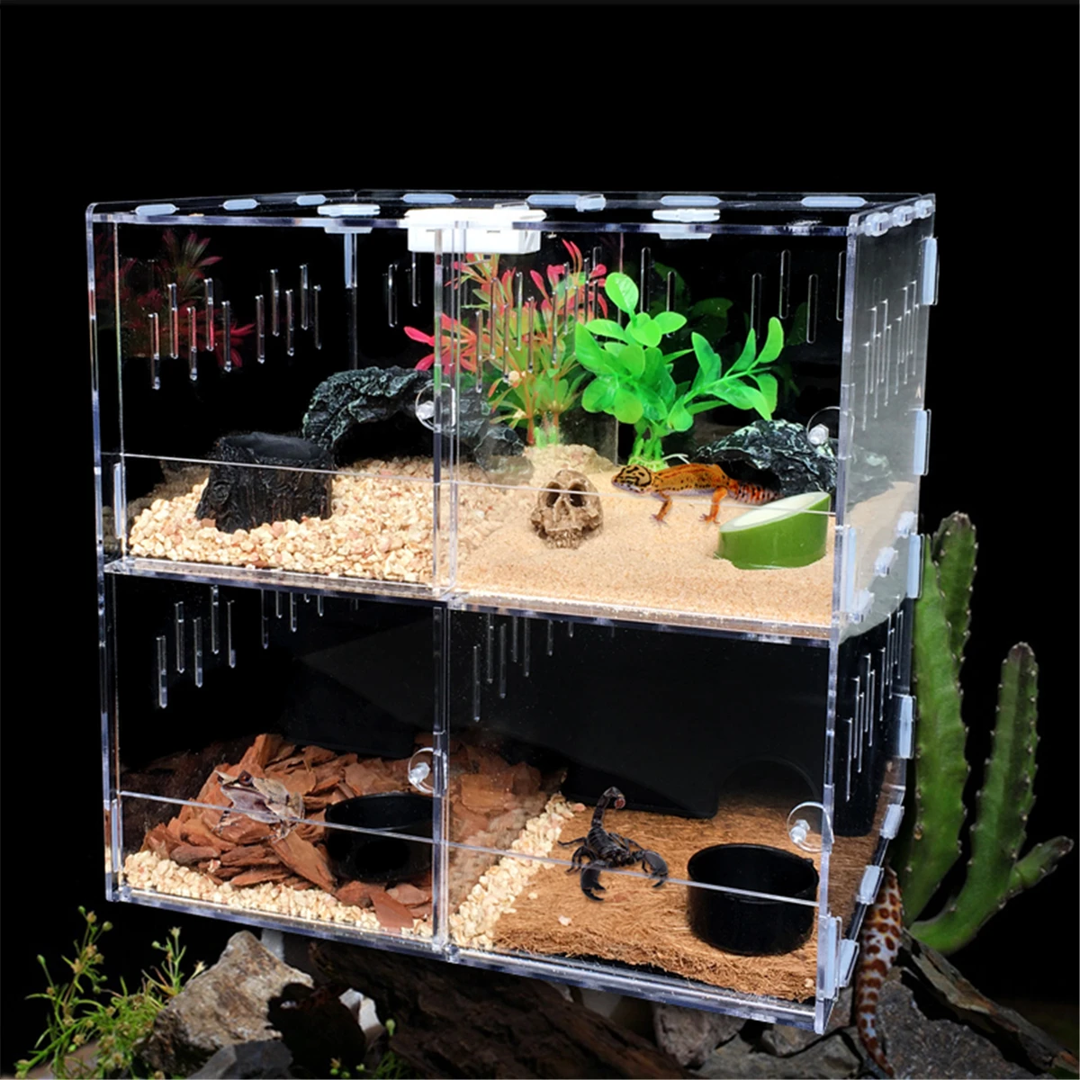 Pet Reptile Tank Acrylic Terrarium 4 Grids Insect Spiders Lizard