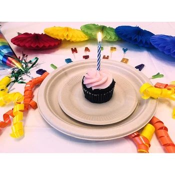 

CSS 50-Pack 100% Compostable 9inch Paper Plates Heavy-Duty Quality Natural Disposable Bagasse, Eco-Friendly Made Of Sugar Cane F